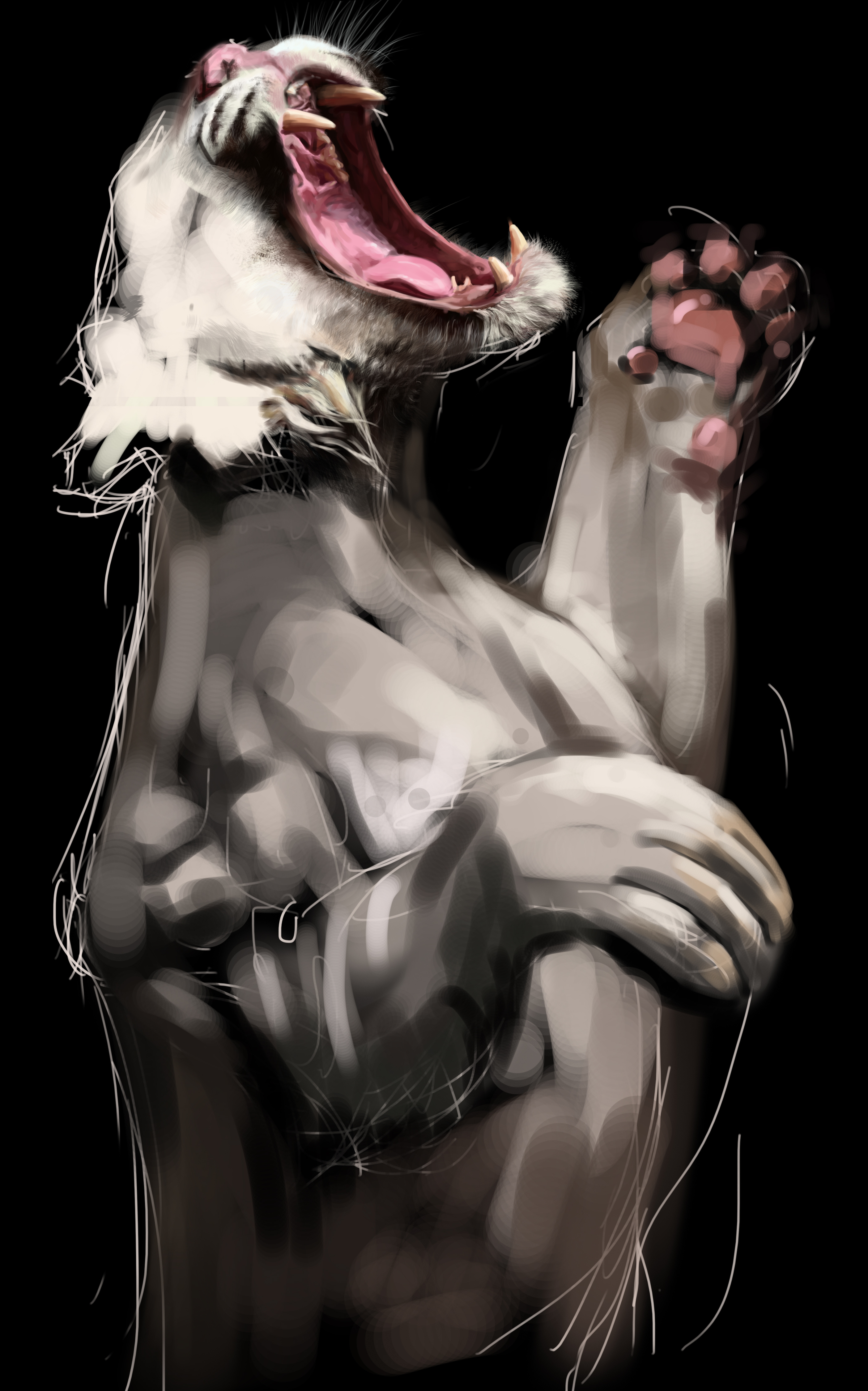 白虎写实练习|插画|绘本|godobook - 原创作品 - 站酷 (zcool)