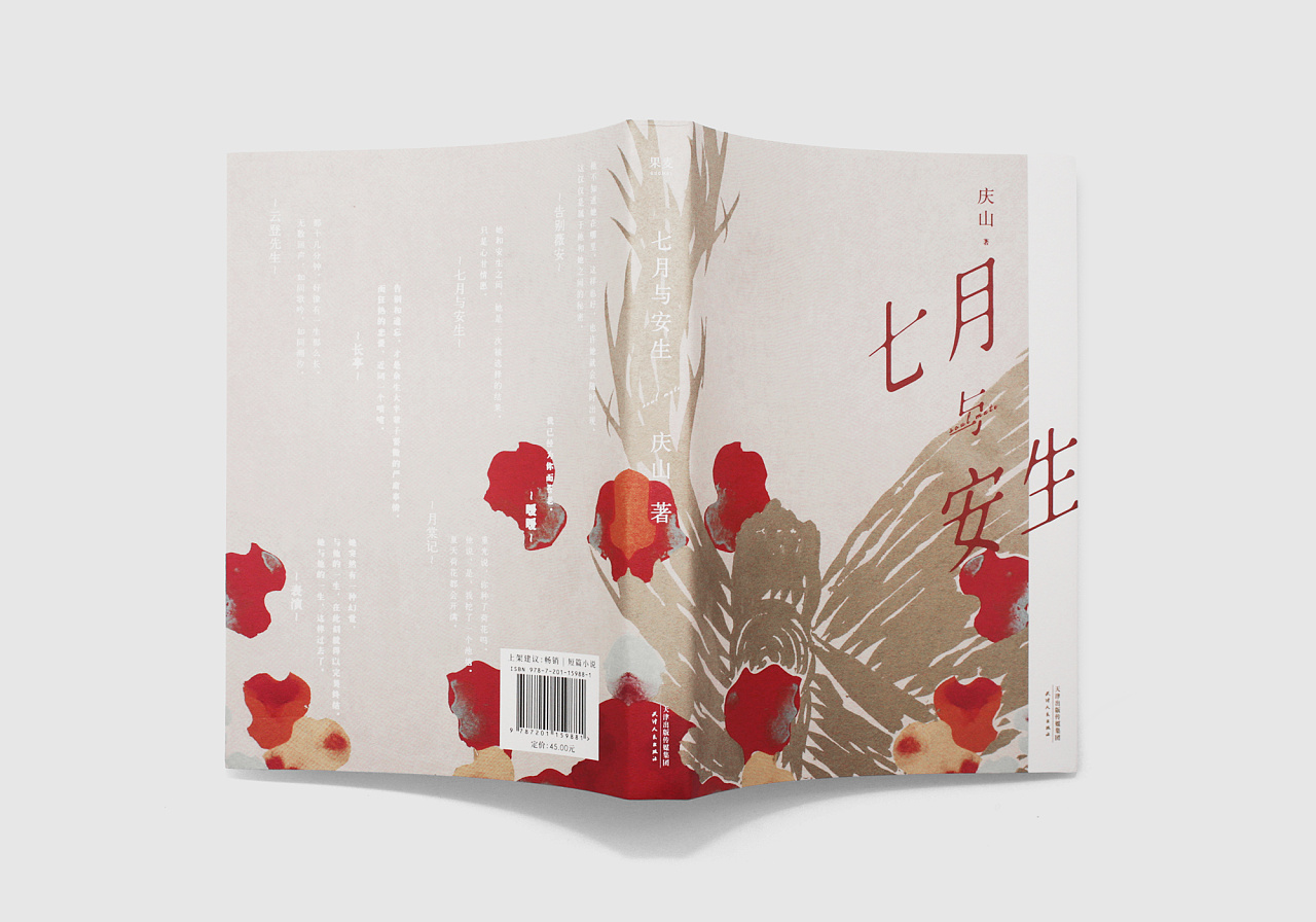 庆山 七月与安生 书籍设计