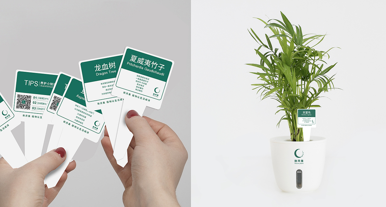 新月集 植物 品牌形象设计（图ZMTc4NDE3ODU2） - 品牌 - 站酷设计师XY2016原创素材 - 站酷ZCOOL