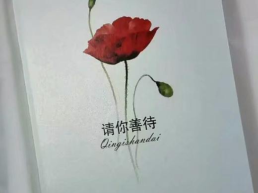第一本书《请你善待》