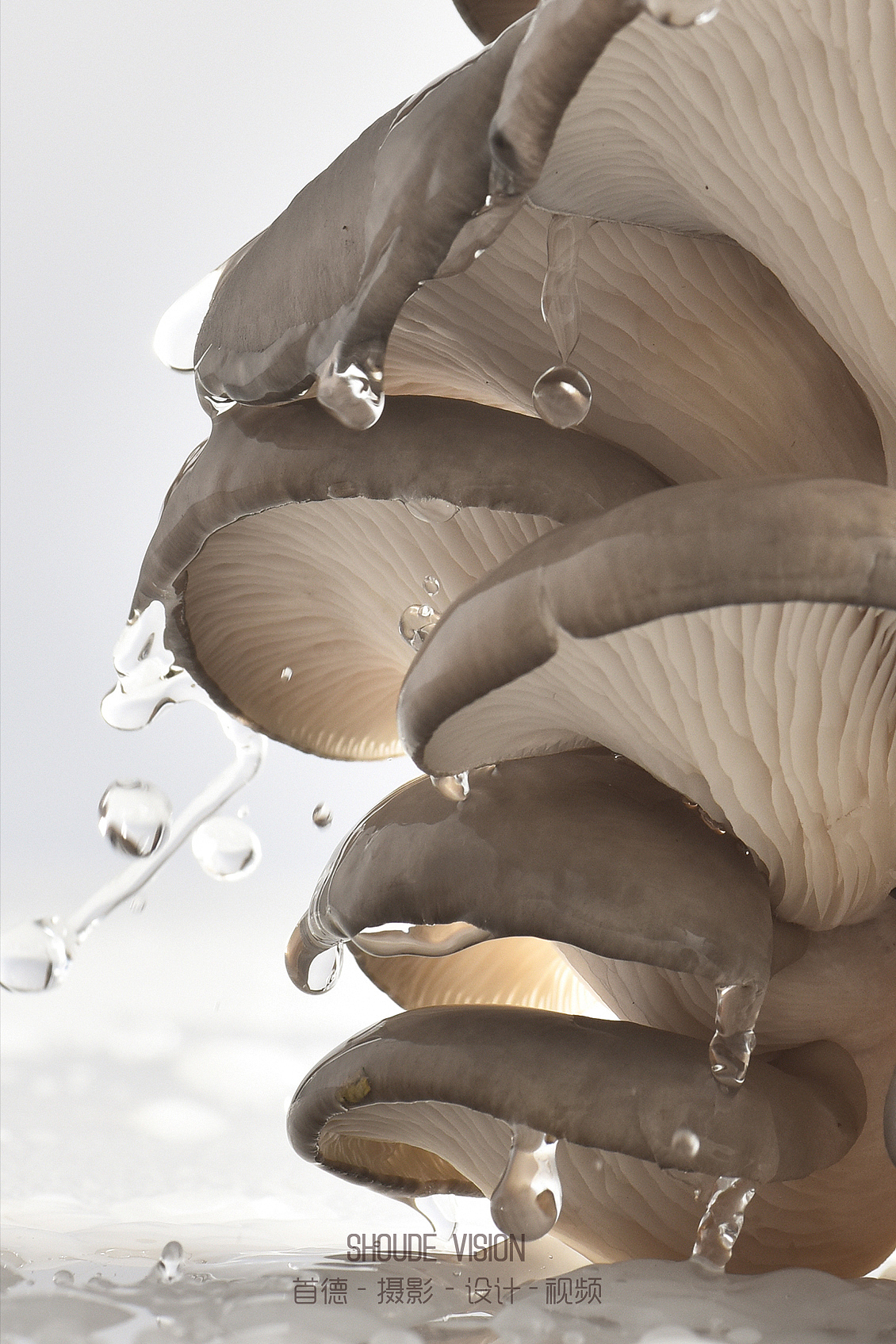 来一组蔬菜集合