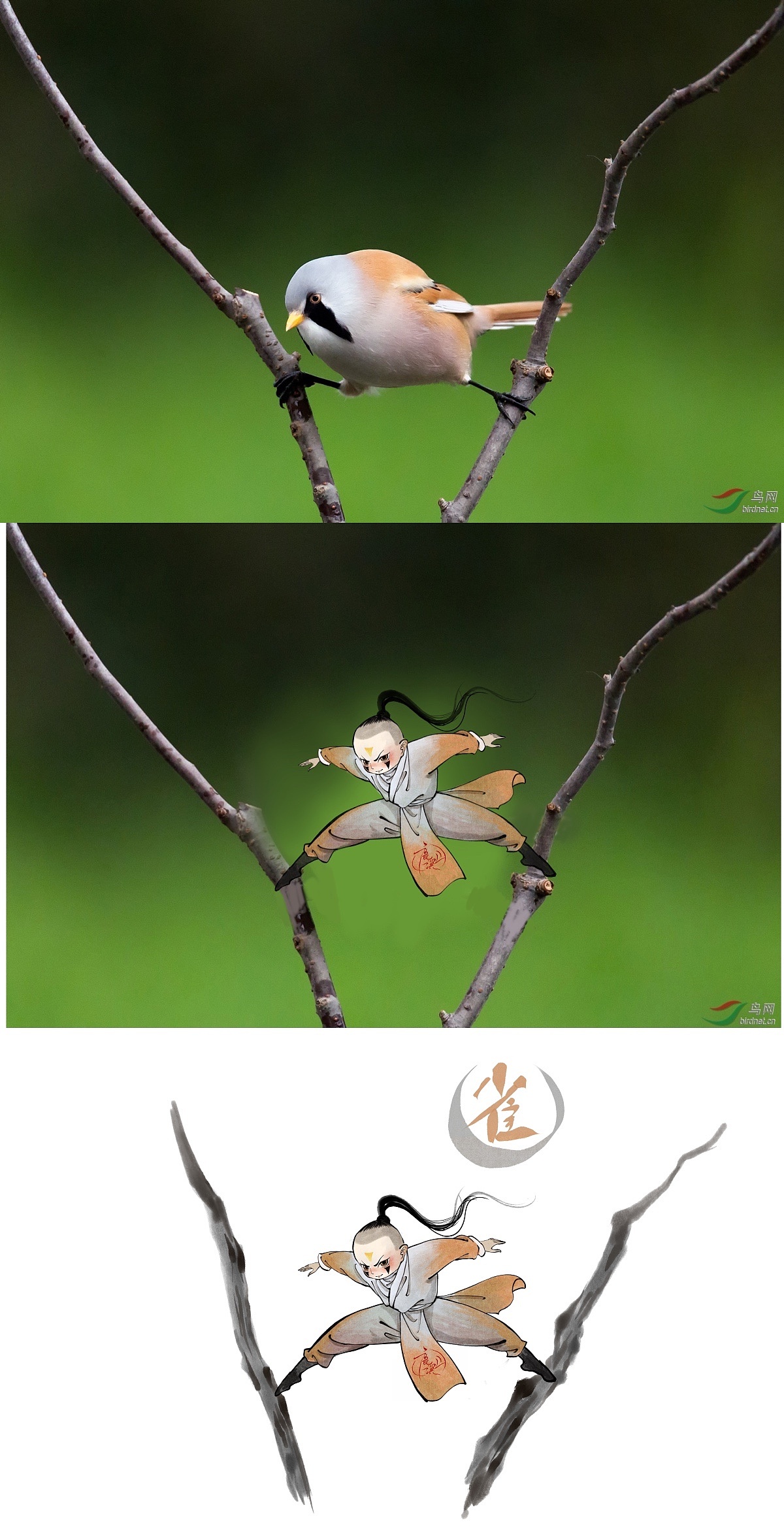 小鸟拟人第二波