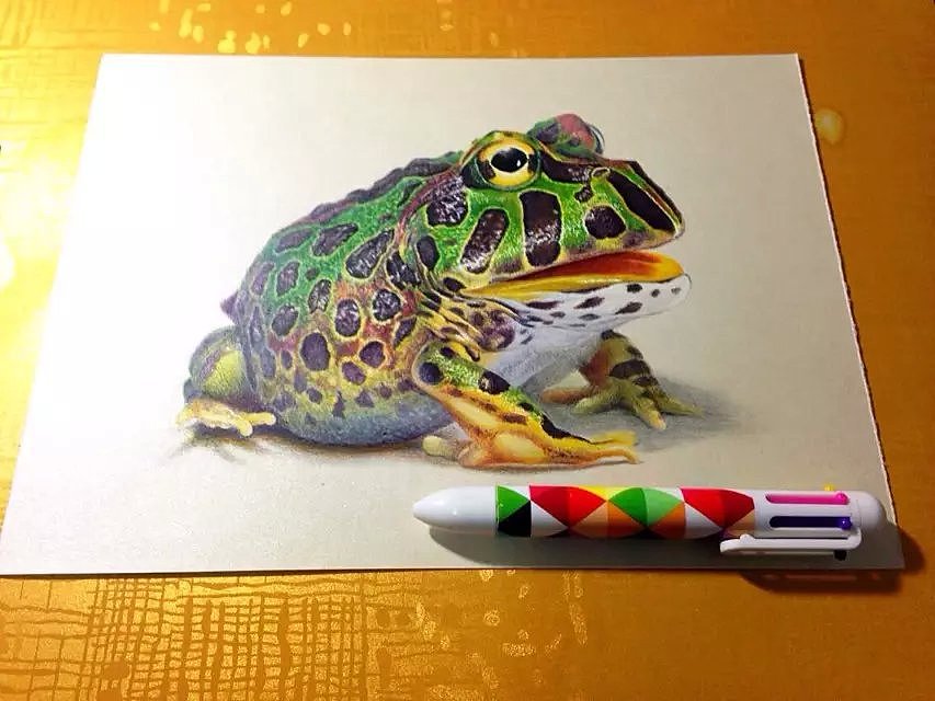 oy圆珠笔画角蛙