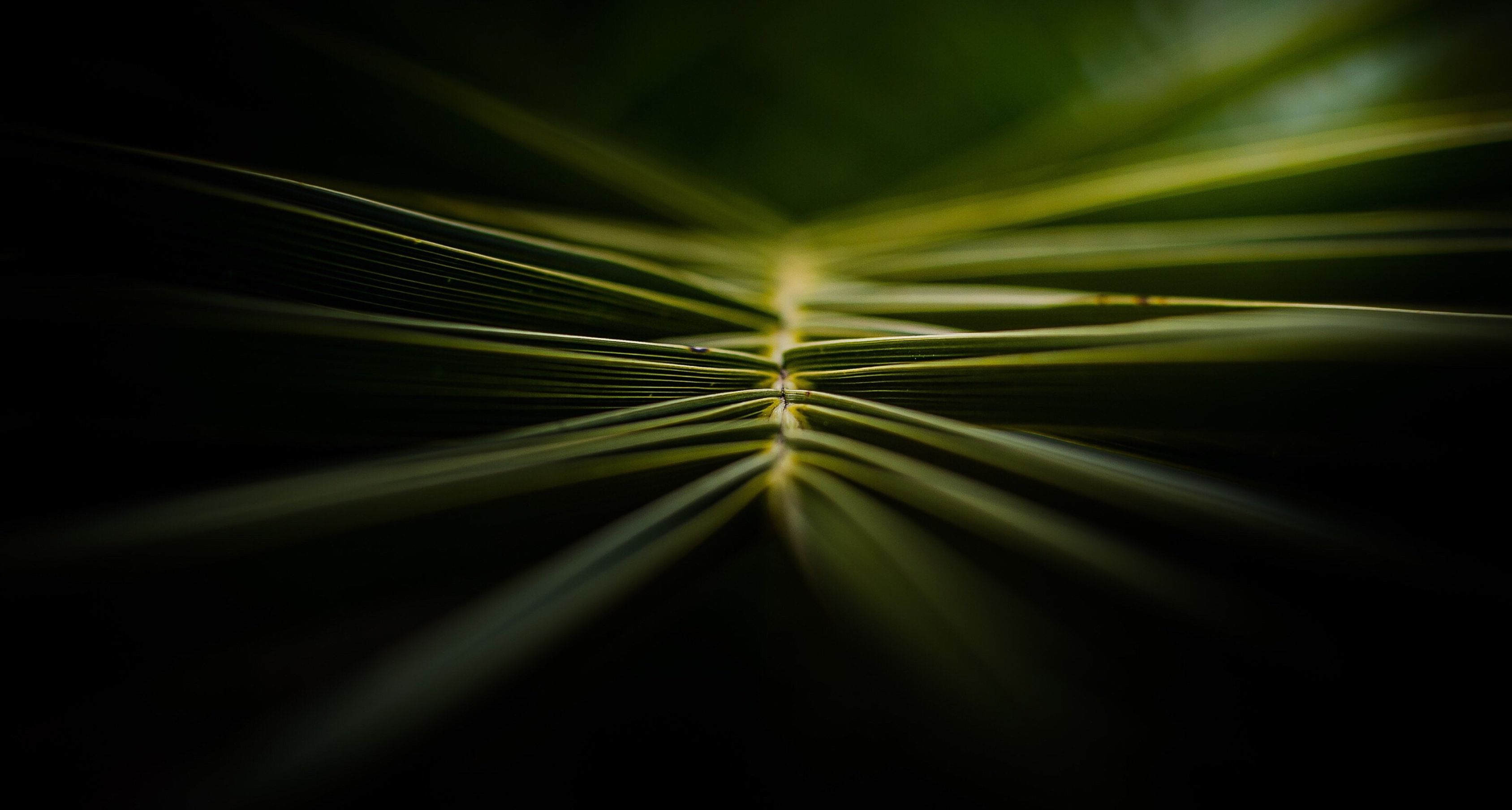 郎璇靈兒的個(gè)人主頁(yè)（背景預(yù)覽） - 主頁(yè)背景設(shè)置 - 站酷設(shè)計(jì)師郎璇靈兒原創(chuàng)素材 - 站酷ZCOOL