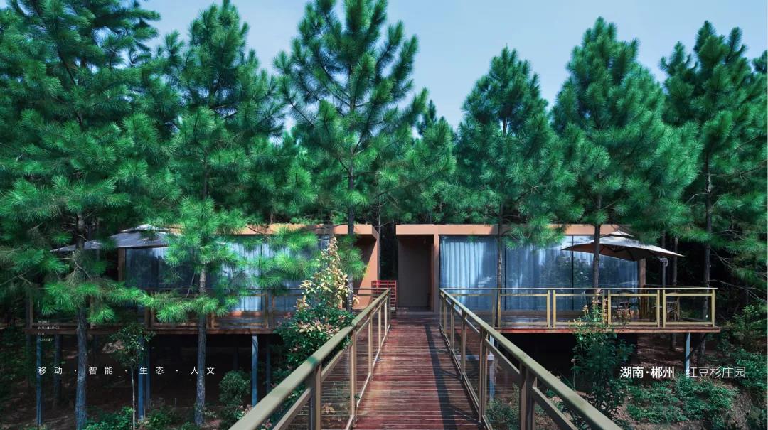 赋能新文旅,欢迎加入地球仓集团