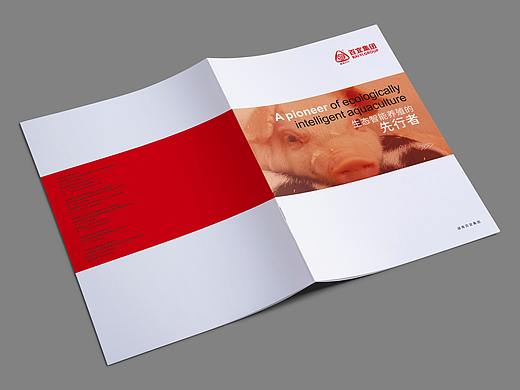 湖南百宜集团画册