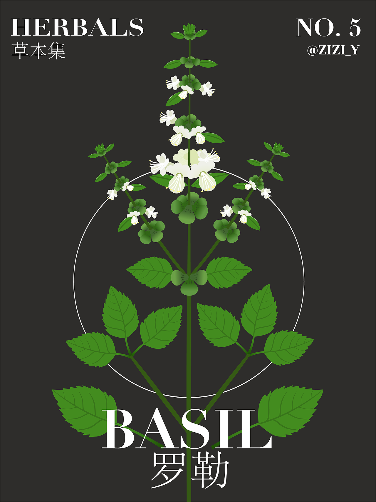 草本植物·草花系列（图ZMzA0NzM1MDUy） - 创作习作 - 站酷设计师ZiasPocketDesign原创素材 - 站酷ZCOOL