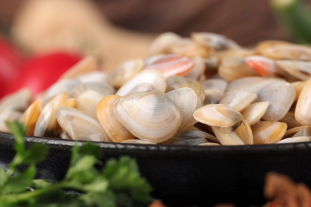 大海瓜子丨名副其实的小小贝类生物丨飞鸟电商