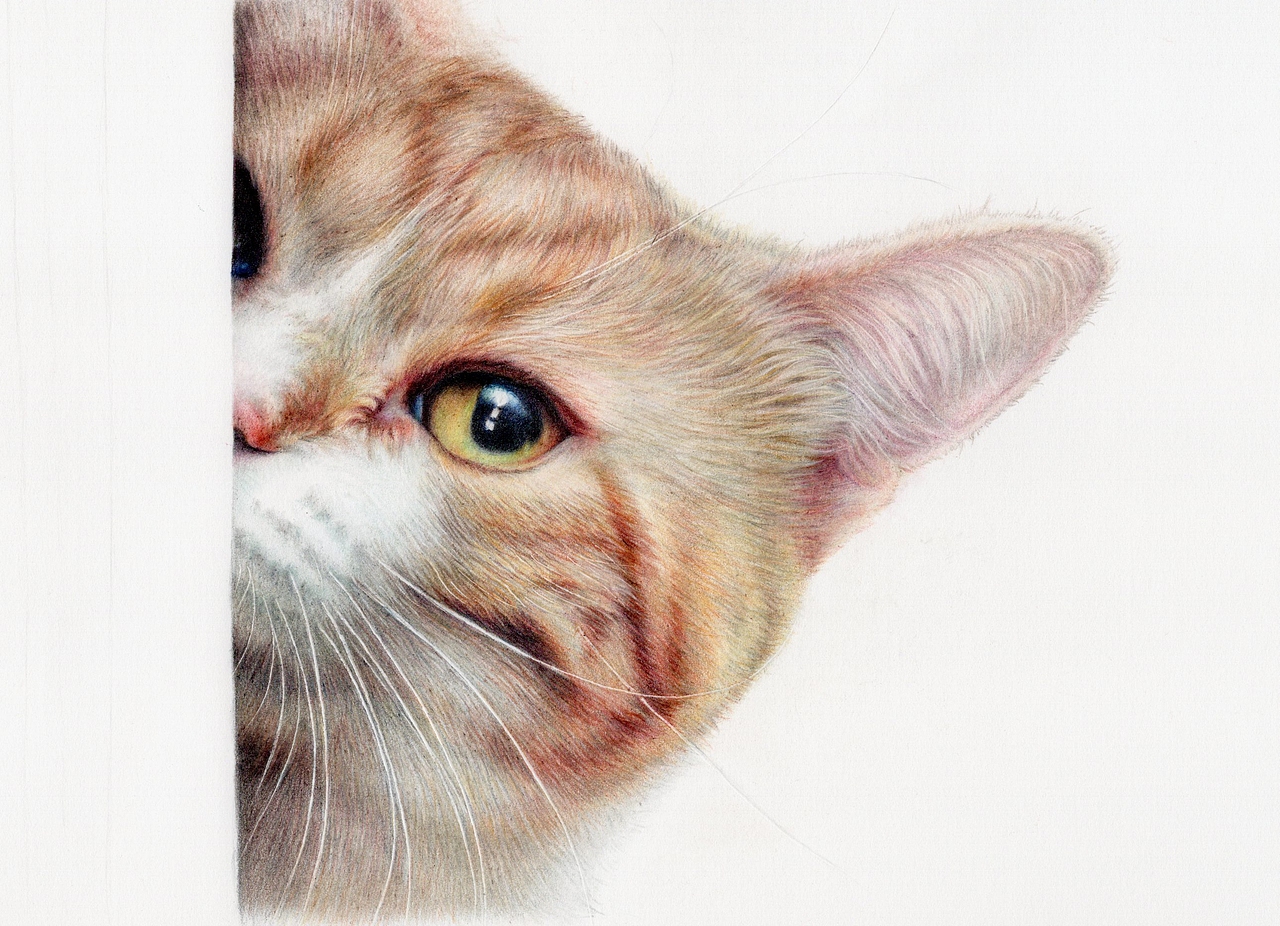 压岁钱不够图（图ZNjk1OTE4MDQ=） - 绘画 - 站酷设计师林朵云原创素材 - 站酷ZCOOL