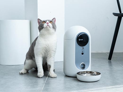 宠物产品拍摄 CCPET宠物智能喂食器自动喂食机饮水机