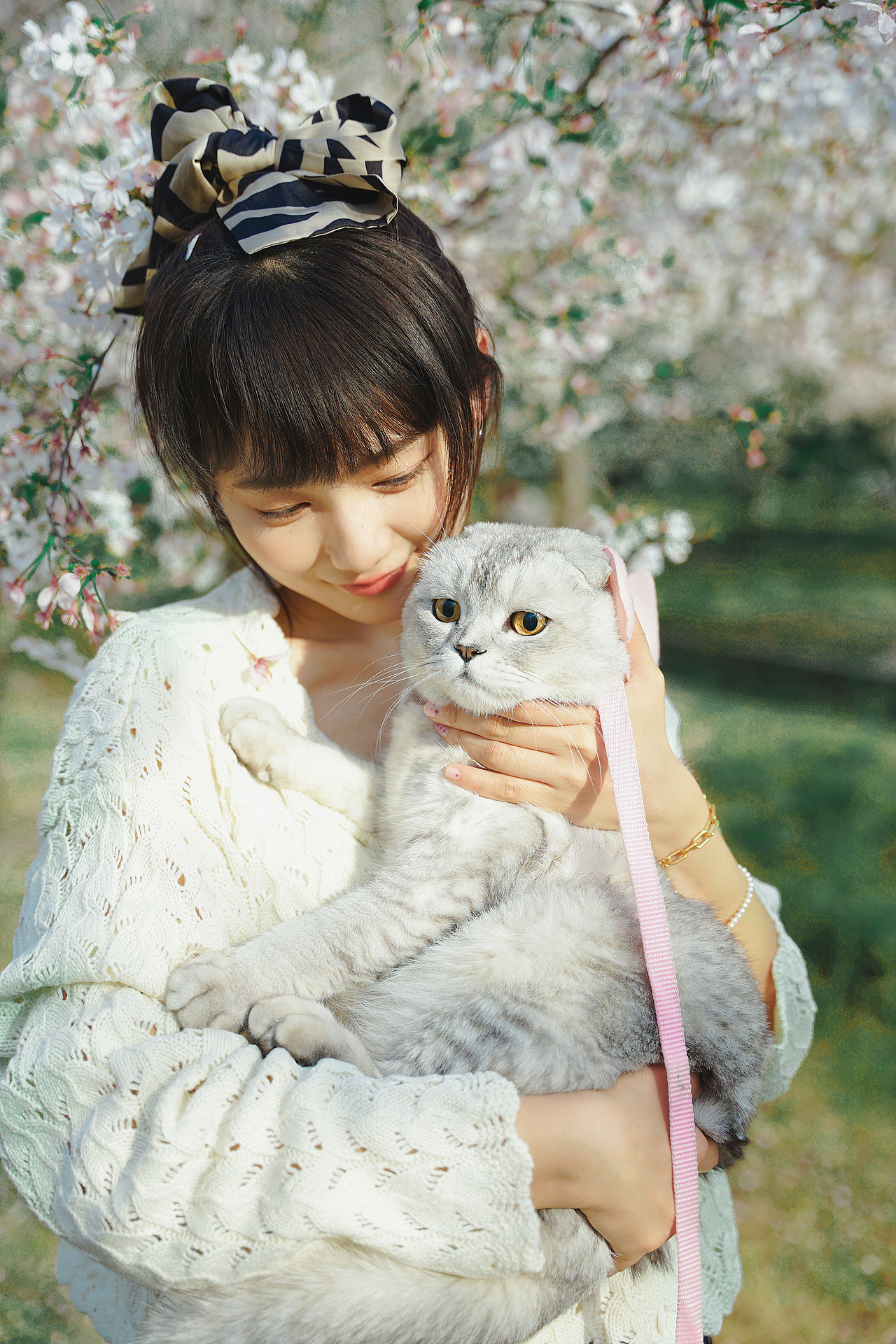 宠物写真丨“ 今 日 被 迫 接 待 人 类 ”