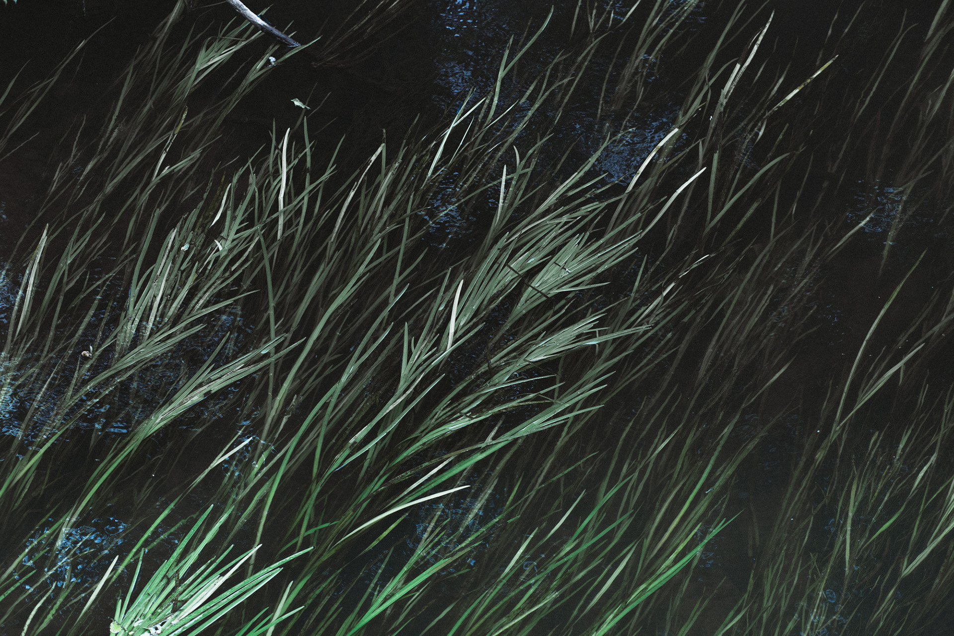 结衣仙子的个人主页（封面预览） - 主页封面设置 - 站酷设计师结衣仙子原创素材 - 站酷ZCOOL