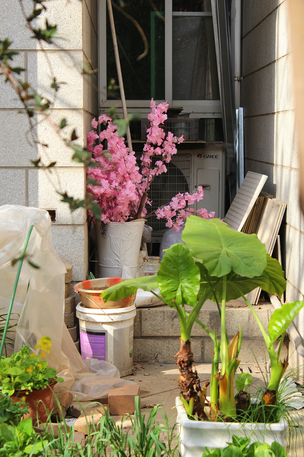 希望我们都能在春光里快乐（图ZMjkyNTU0ODg0） - 风光摄影 - 站酷设计师一大口黑锅原创素材 - 站酷ZCOOL