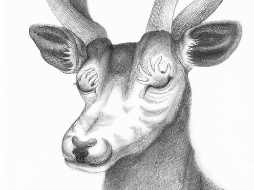 【物化 x 自我】系列插画设计#青春答卷2018#