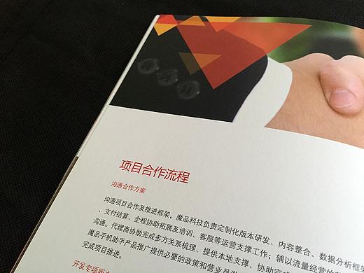 一本画册（个人主页-ZMzg2NzQ2Mjg=） - 书籍/画册 - 站酷设计师刺客阿发原创素材 - 站酷ZCOOL