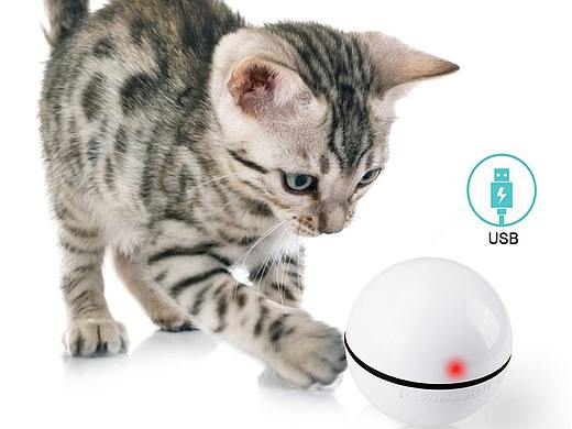 USB逗猫球