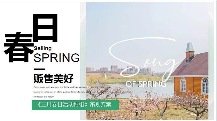 2023春日贩售美好3月月度暖场活动策划方案-20P