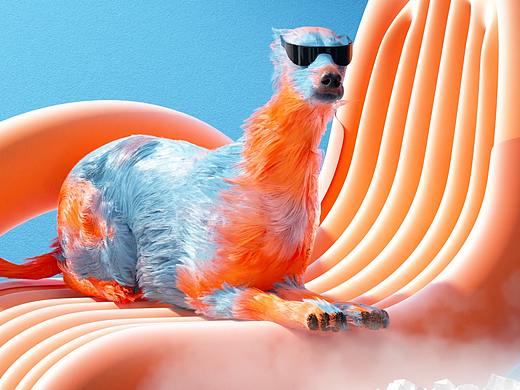COLORFUL DOGG