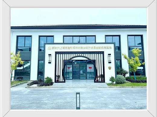 松江新时代上海党建经济发展创新实践基地项目
