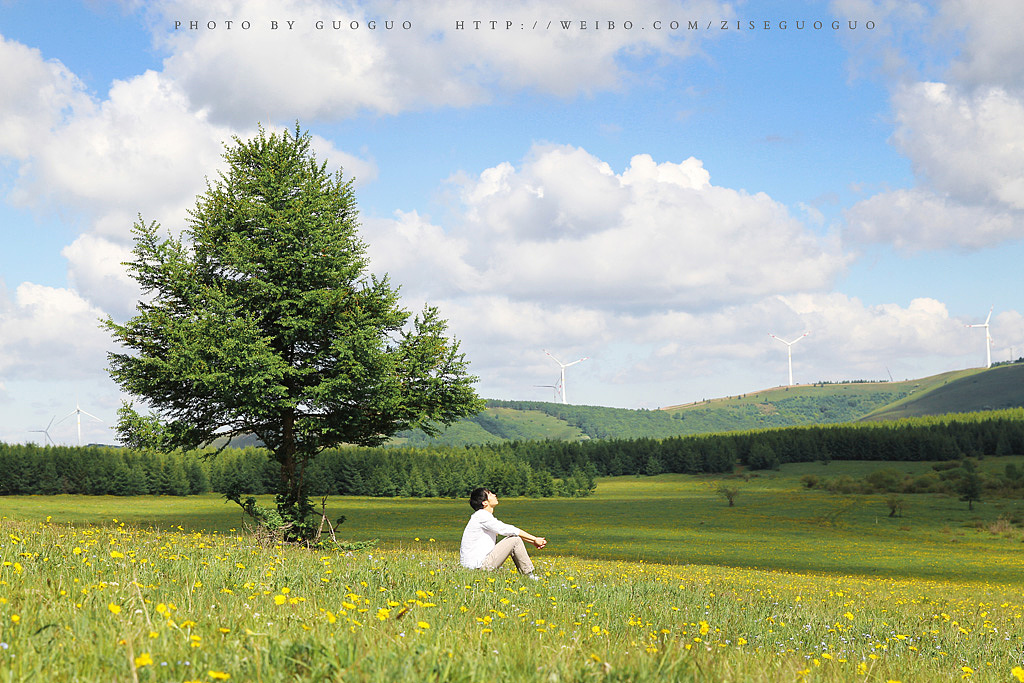 塞罕坝—乌兰布统