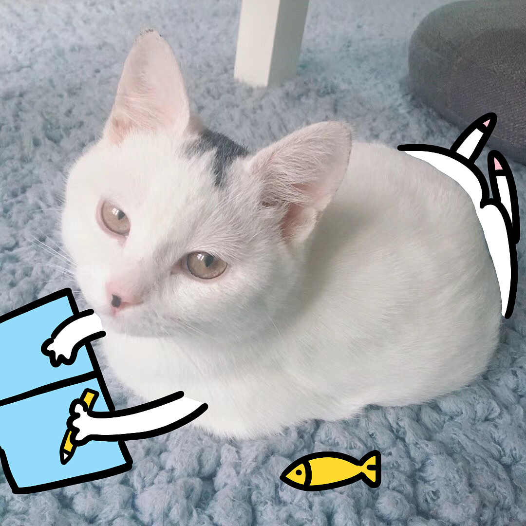 画猫——俺叫肉肉（图ZMTU2NjkzNDMy） - 创作习作 - 站酷设计师自动喵喵机原创素材 - 站酷ZCOOL