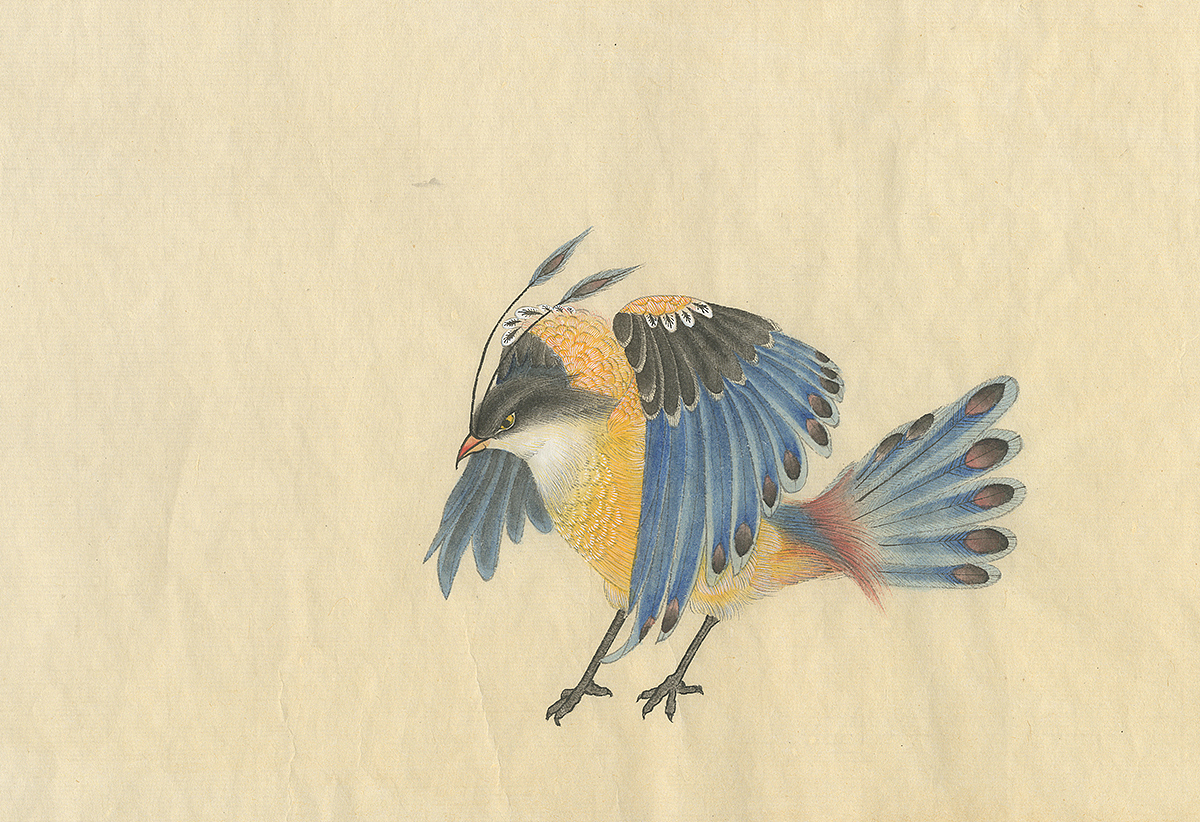 （by 老三）派格元年（2011-2012）（圖ZMzk0MTY0MDA=） - 藝術插畫 - 站酷設計師老三叁原創(chuàng)素材 - 站酷ZCOOL