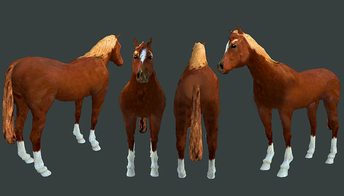 举报收藏分享原创作品三维人物/生物annkingc4d1393annking端午国潮