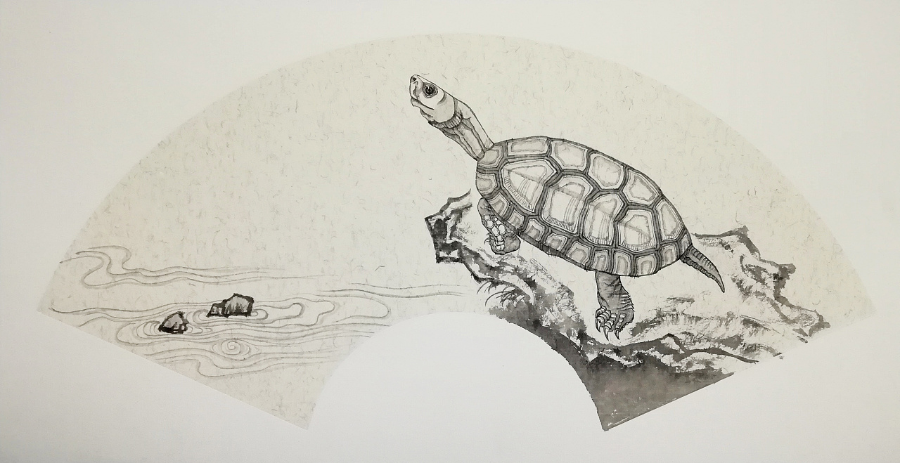 龟|纯艺术|国画|不秋草堂 - 原创作品 - 站酷 (zcool)