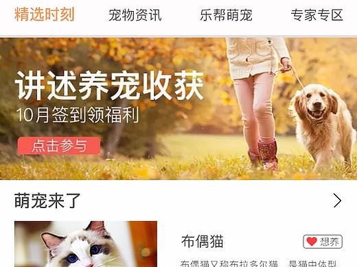 原创暖心宠物APP