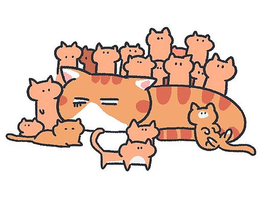 猫咪分不清自己公母？