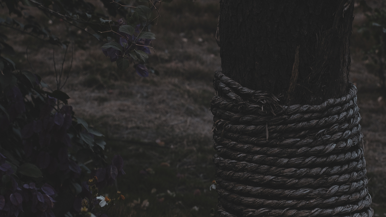 jn.（图ZMjQwNzY5Mjcy） - 人文/纪实摄影 - 站酷设计师恶趣未原创素材 - 站酷ZCOOL