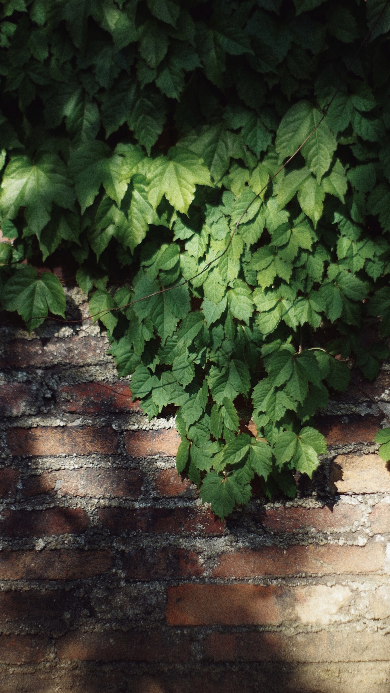 铜官窑（图ZMTU0ODY4NDY4） - 风光摄影 - 站酷设计师你哈哦原创素材 - 站酷ZCOOL