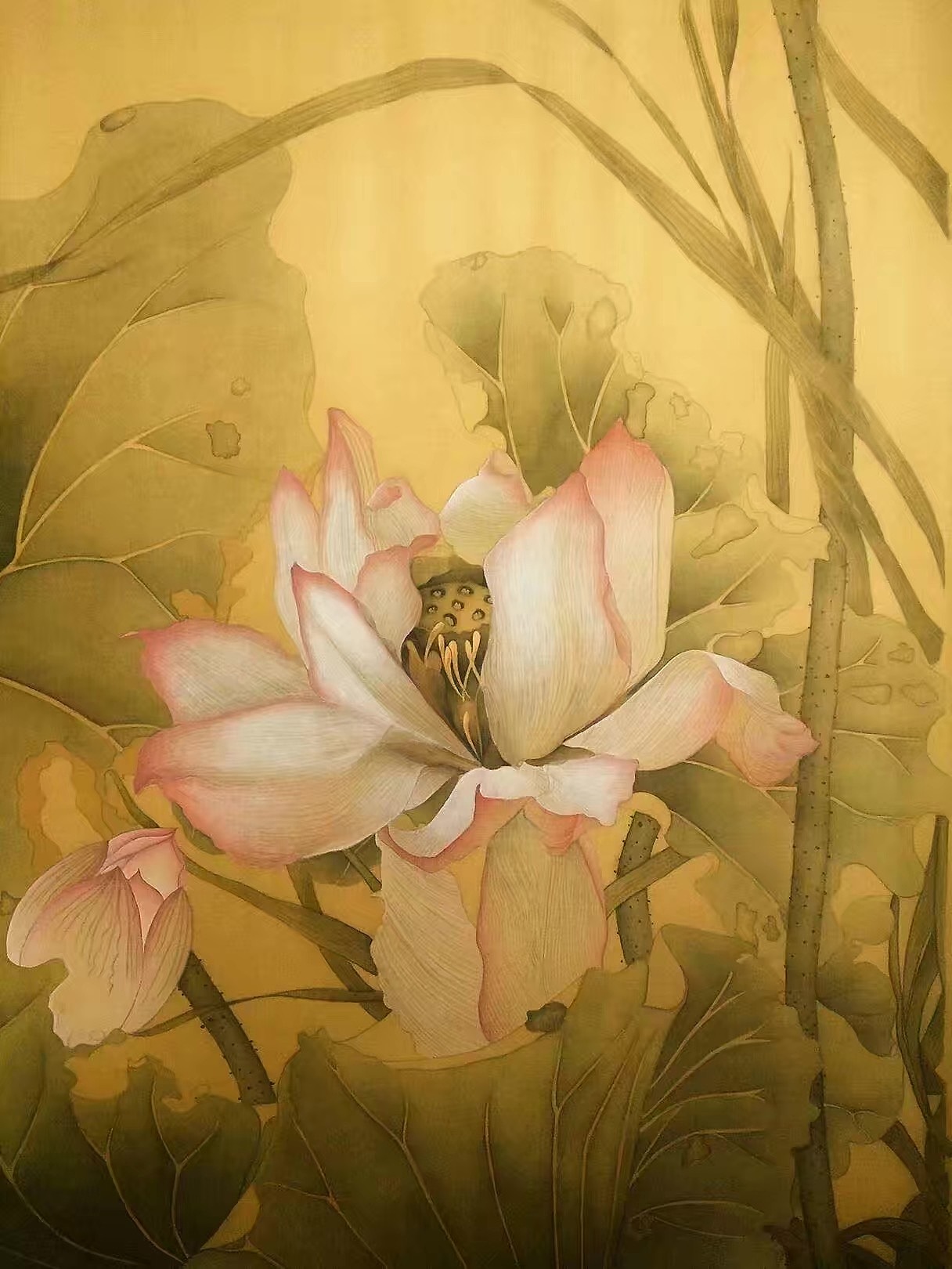 工笔（图ZMTM3Mzc2OTEy） - 绘画 - 站酷设计师圆圆的啊原创素材 - 站酷ZCOOL