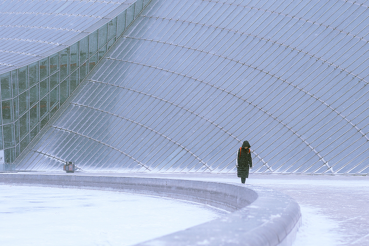 雪天的“画作”