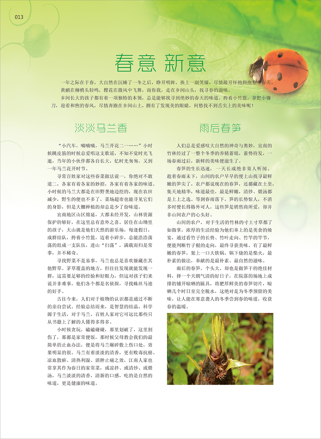 《陶都优品》