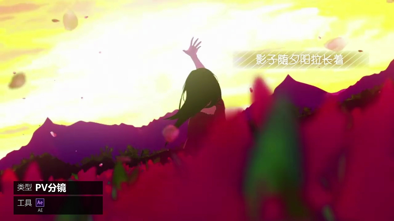 个人视频作品集