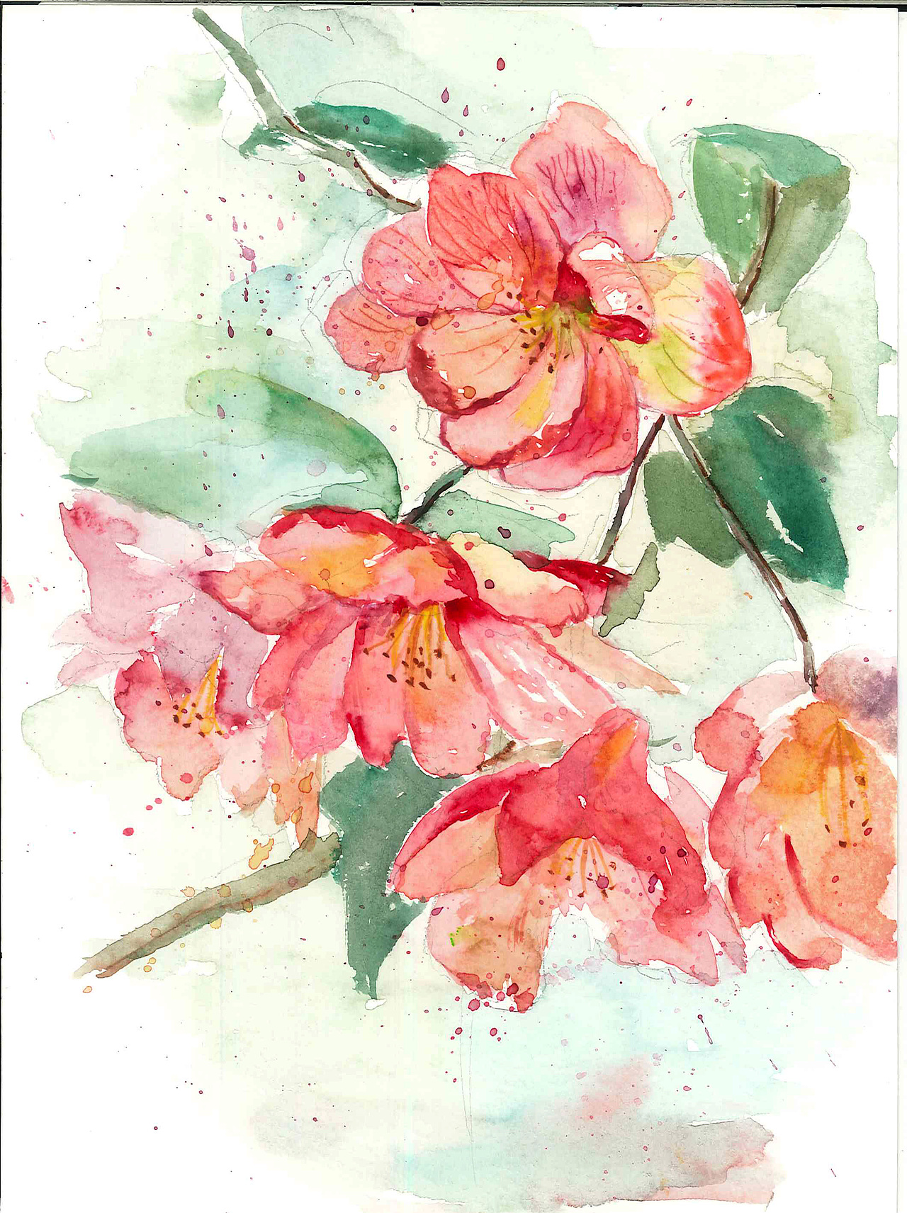 水彩手绘插画合集