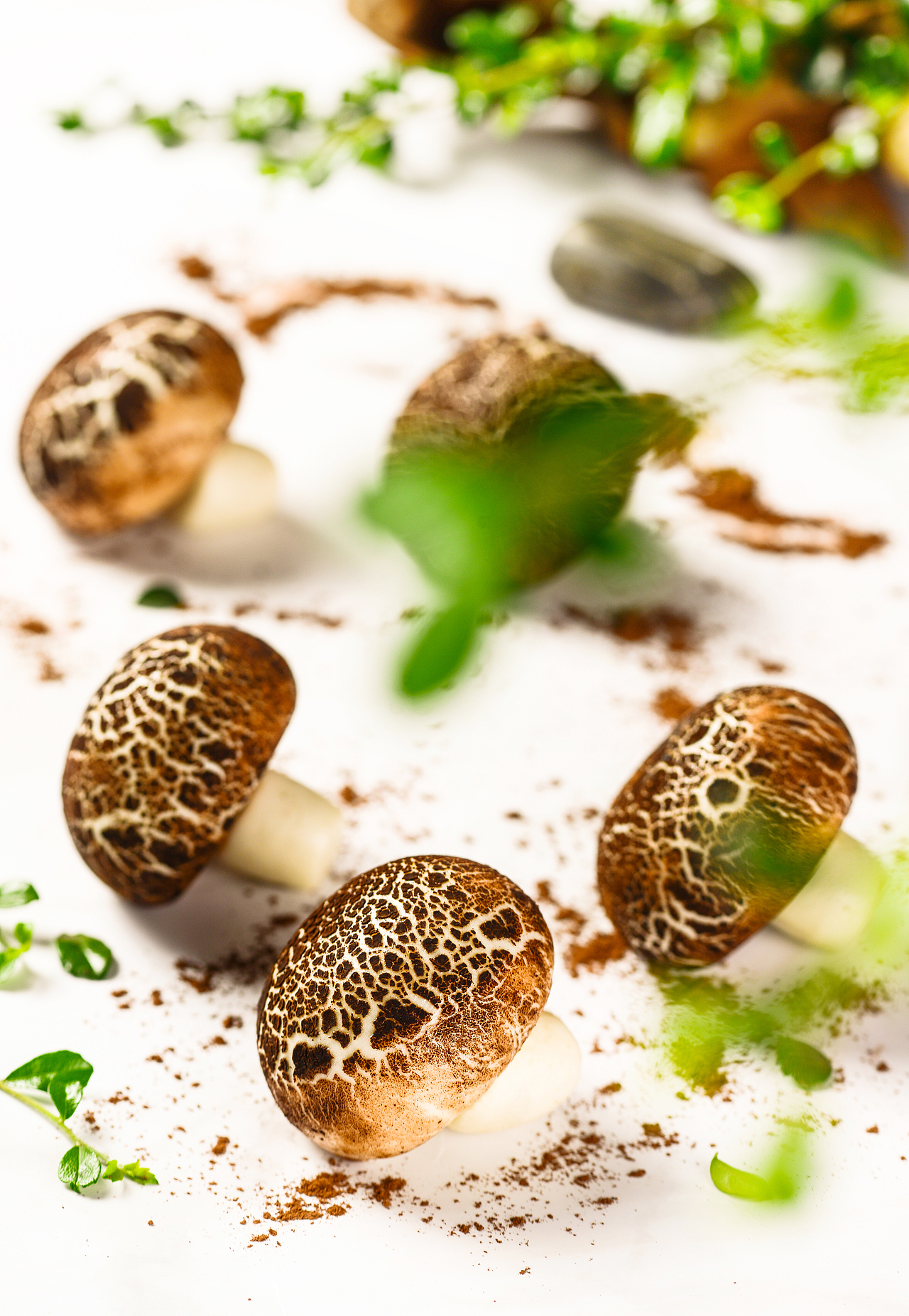 粤菜菜单拍摄（图ZMTUxNTIyNjA4） - 产品摄影 - 站酷设计师沃明映像原创素材 - 站酷ZCOOL