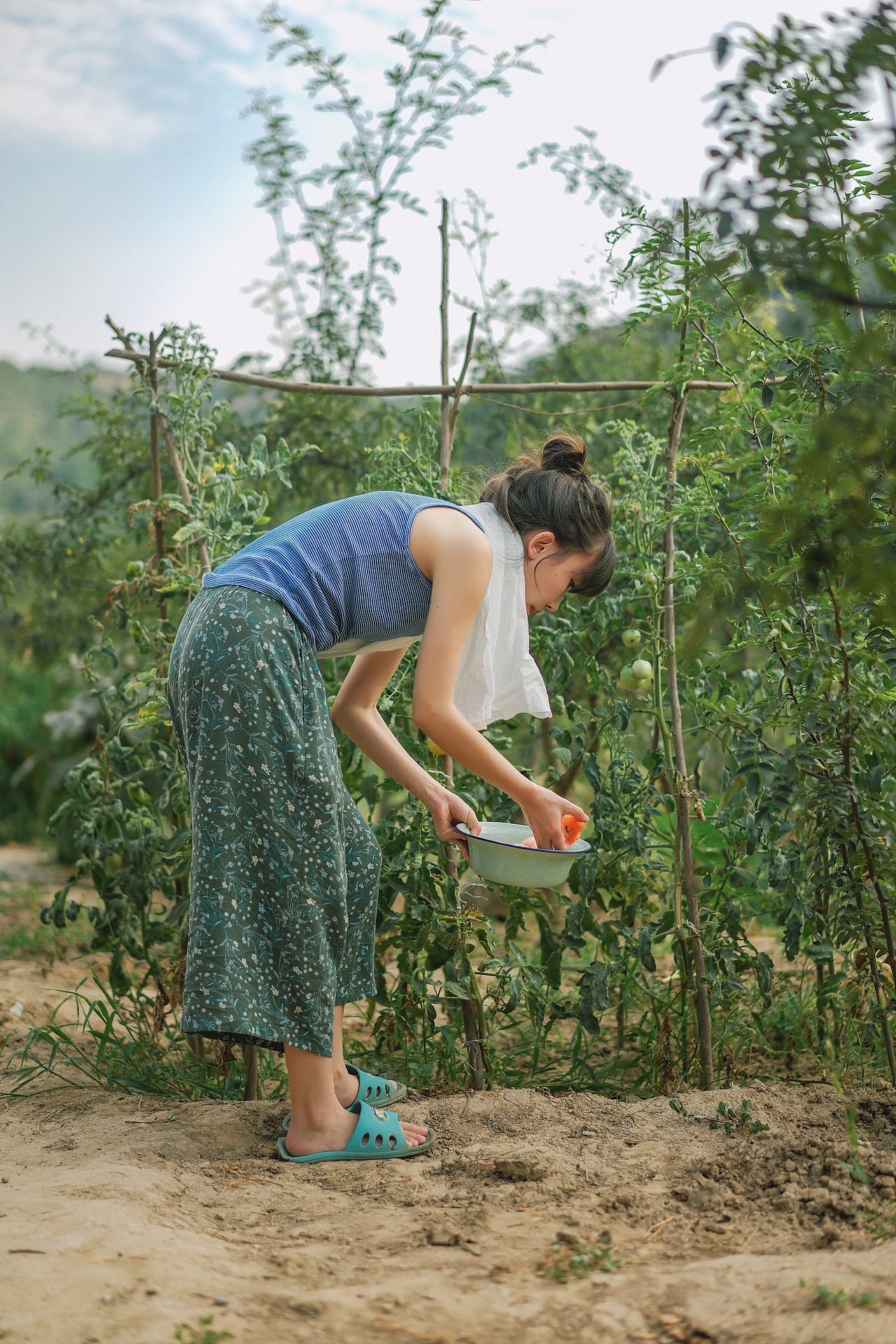 little forest/小森林（图ZMTM4NjcwNDUy） - 人像摄影 - 站酷设计师给给Eru原创素材 - 站酷ZCOOL