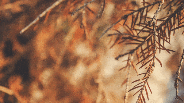 「大理·拾叁月」丨城市记忆再创作，打造文旅新IP（图ZMjM2ODgwMjEy） - 商业空间设计 - 站酷设计师峻佳设计KarvOne原创素材 - 站酷ZCOOL