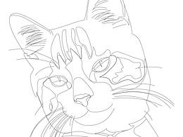 线稿猫