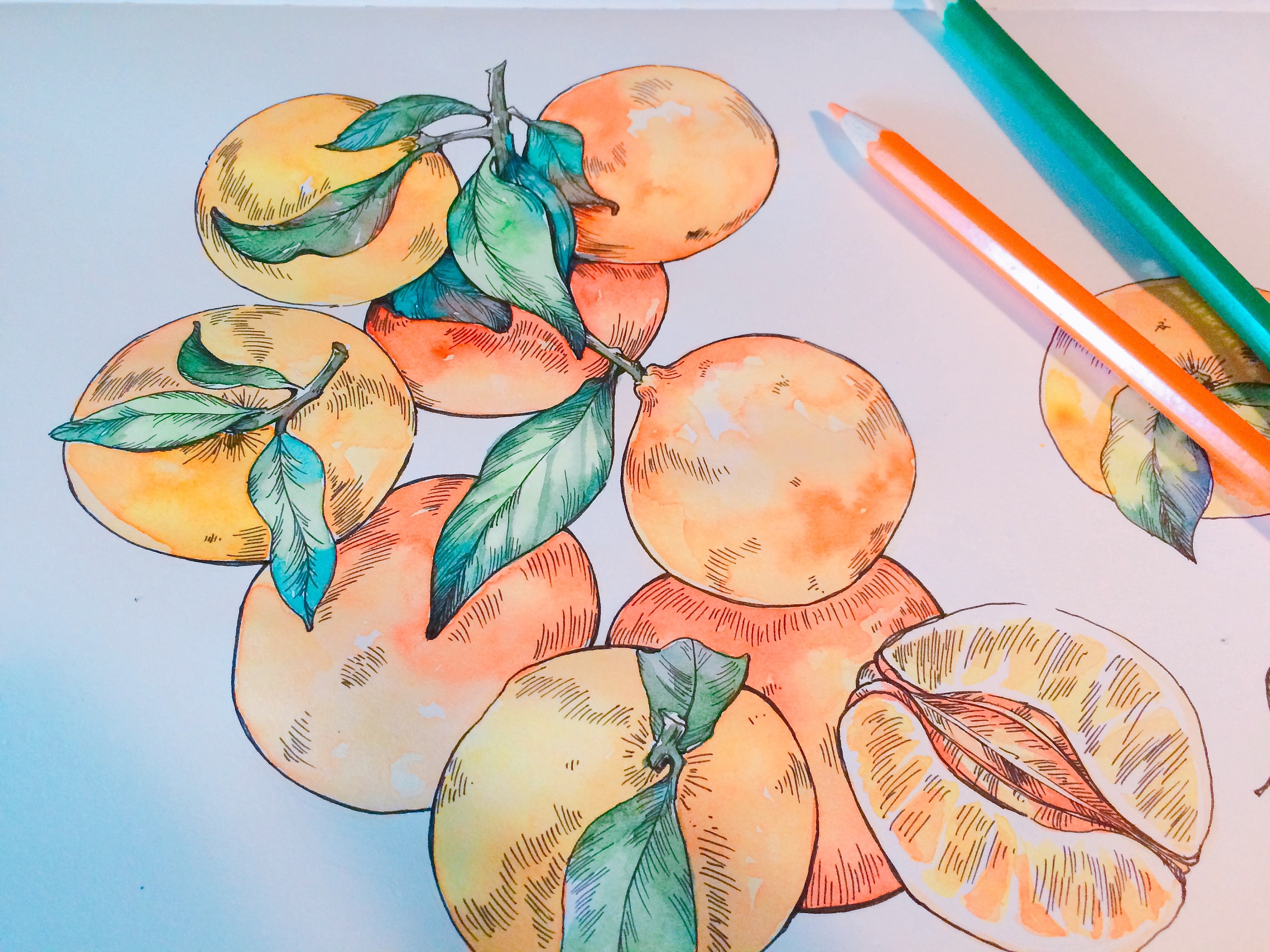水彩橘子的画法与调色图片