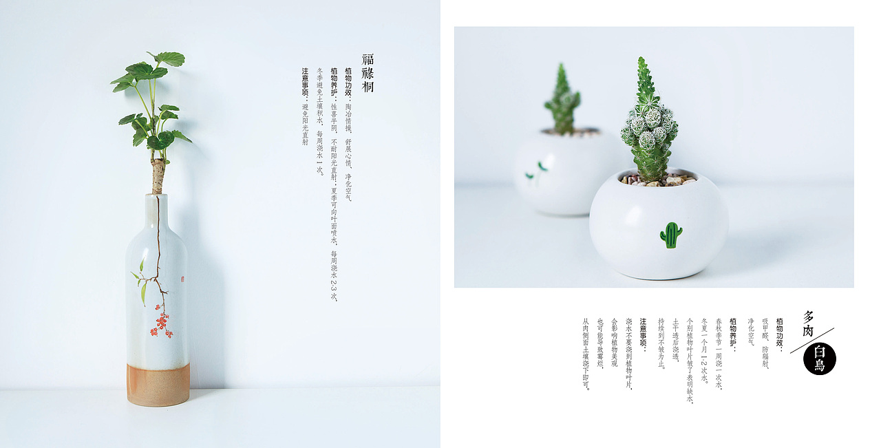 花艺家画册（图ZMTEzODM5Nzky） - 书籍/画册 - 站酷设计师阿小德MY原创素材 - 站酷ZCOOL