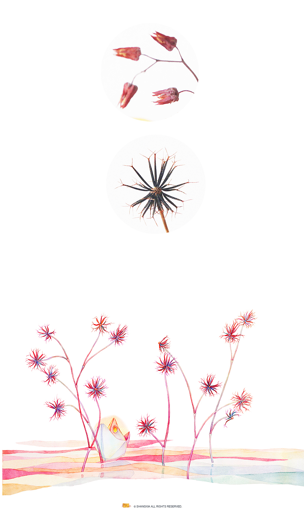 花儿与精灵系列（二）（图ZMjczNzgxMDA0） - 儿童插画 - 站酷设计师尚下_画画人原创素材 - 站酷ZCOOL