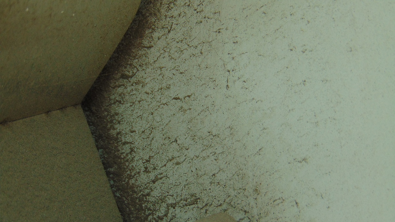 摄影2020..11.10(下)