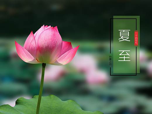系列海报 春分夏至 秋分 冬至