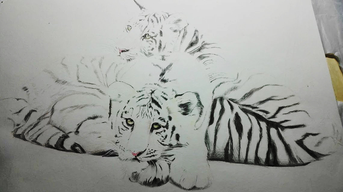 自己摸索先画了黑色条纹