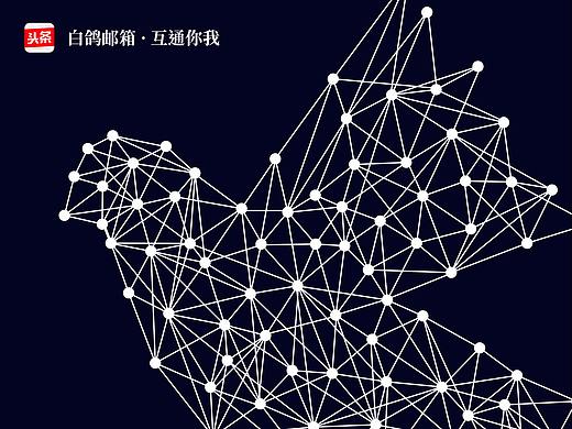 白鸽邮箱