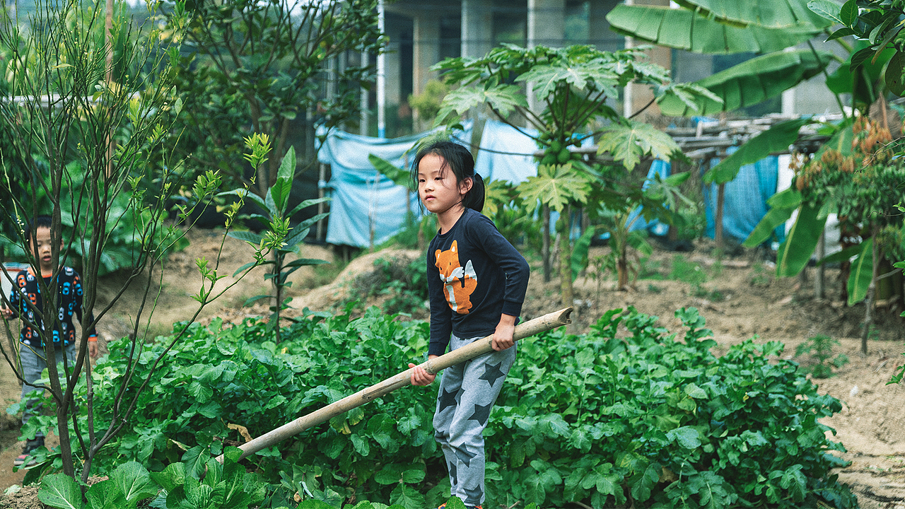 冬日里的暖阳与绿意