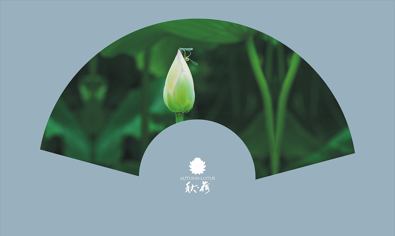 秋荷（图ZMTQ3NzcyMA==） - 风光摄影 - 站酷设计师ARV雨后视觉原创素材 - 站酷ZCOOL